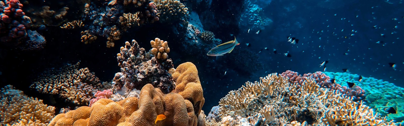 Family Fun at Fakieh Aquarium: More Than Just Marine Life