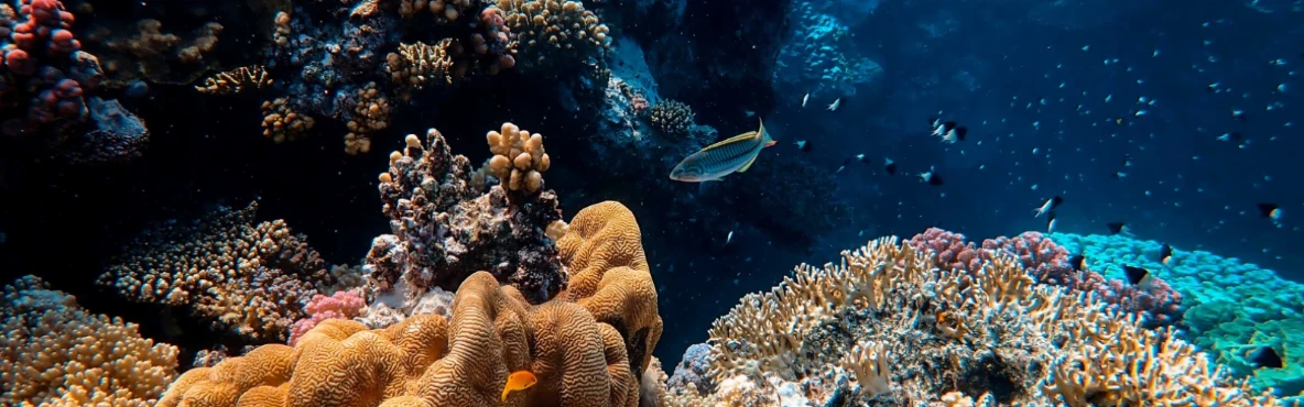 Family Fun at Fakieh Aquarium: More Than Just Marine Life