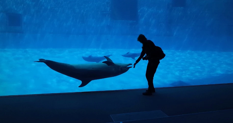 Family Fun at Fakieh Aquarium: More Than Just Marine Life